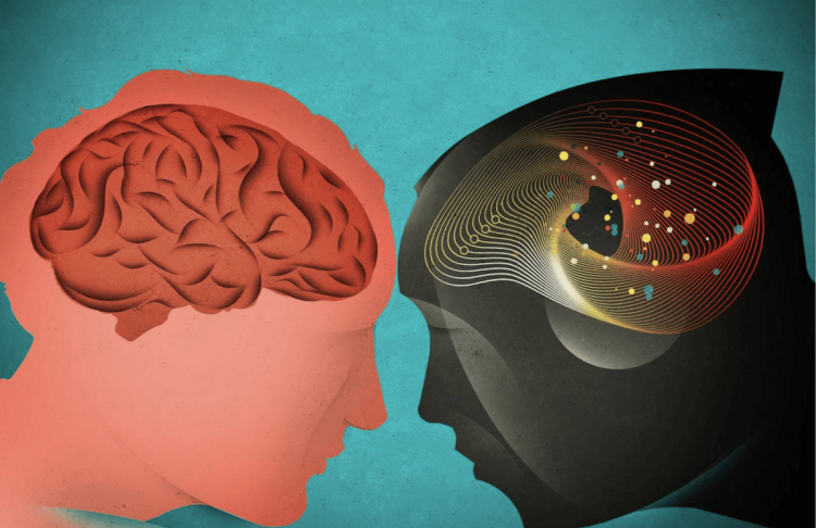 AI và não bộ